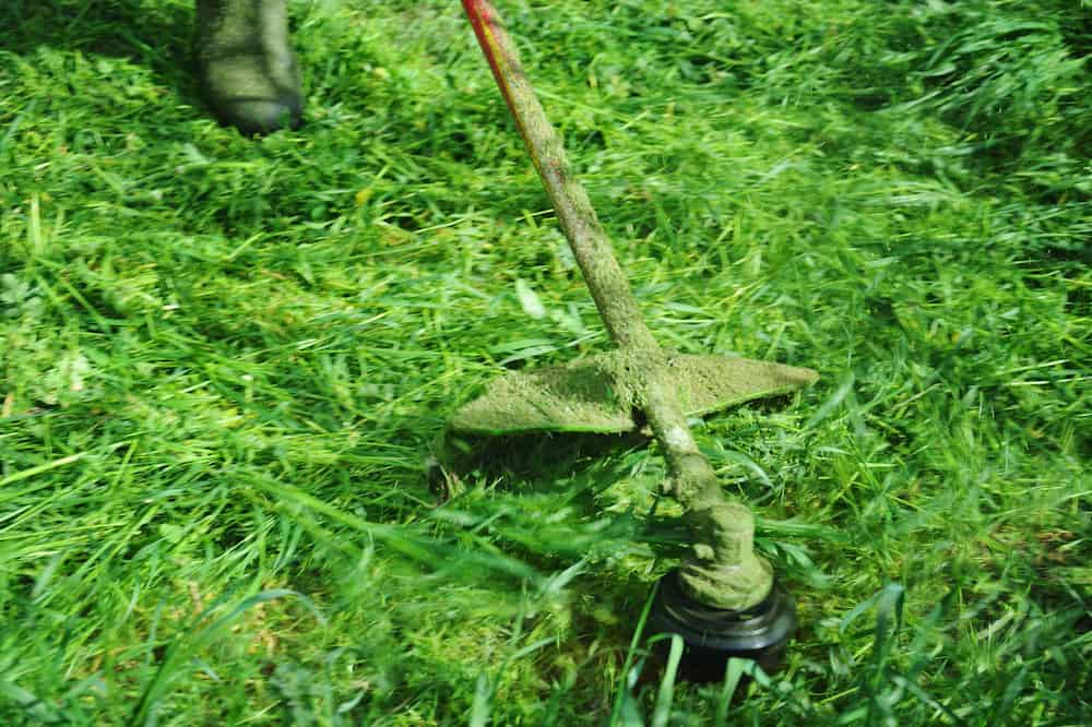 honda 4 stroke trimmer problems honda 4 stroke trimmer problems