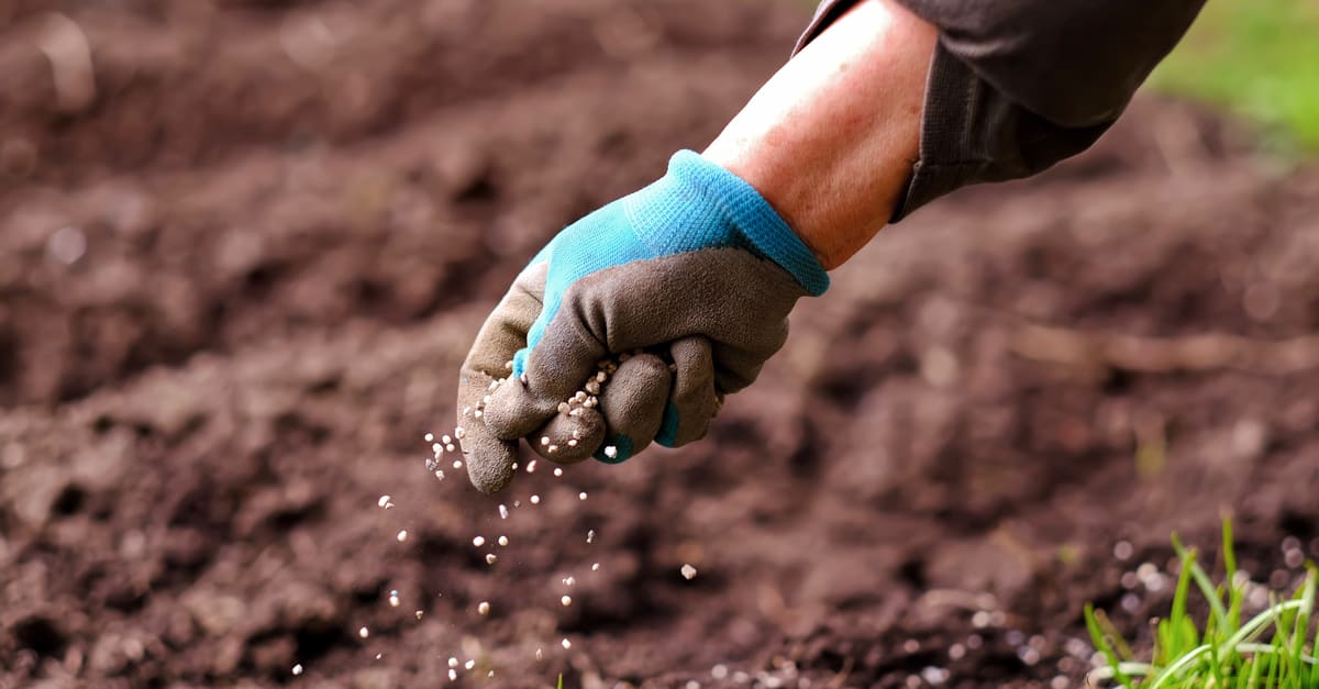 how to add nitrogen to lawn