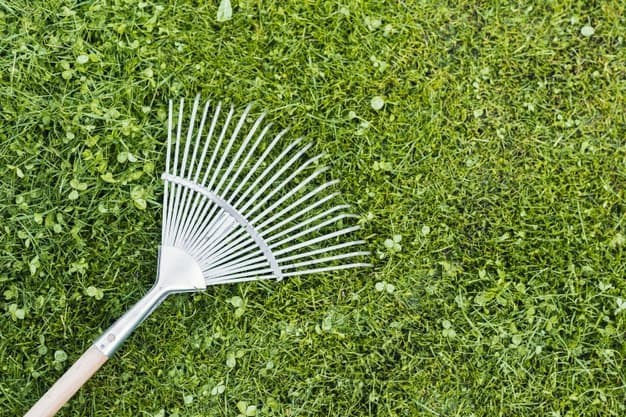 Destoning Rake How To Use A Dethatching Rake - Trim That Weed