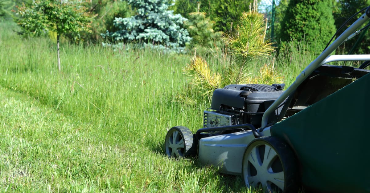lawn_mower_05 lawn mower
