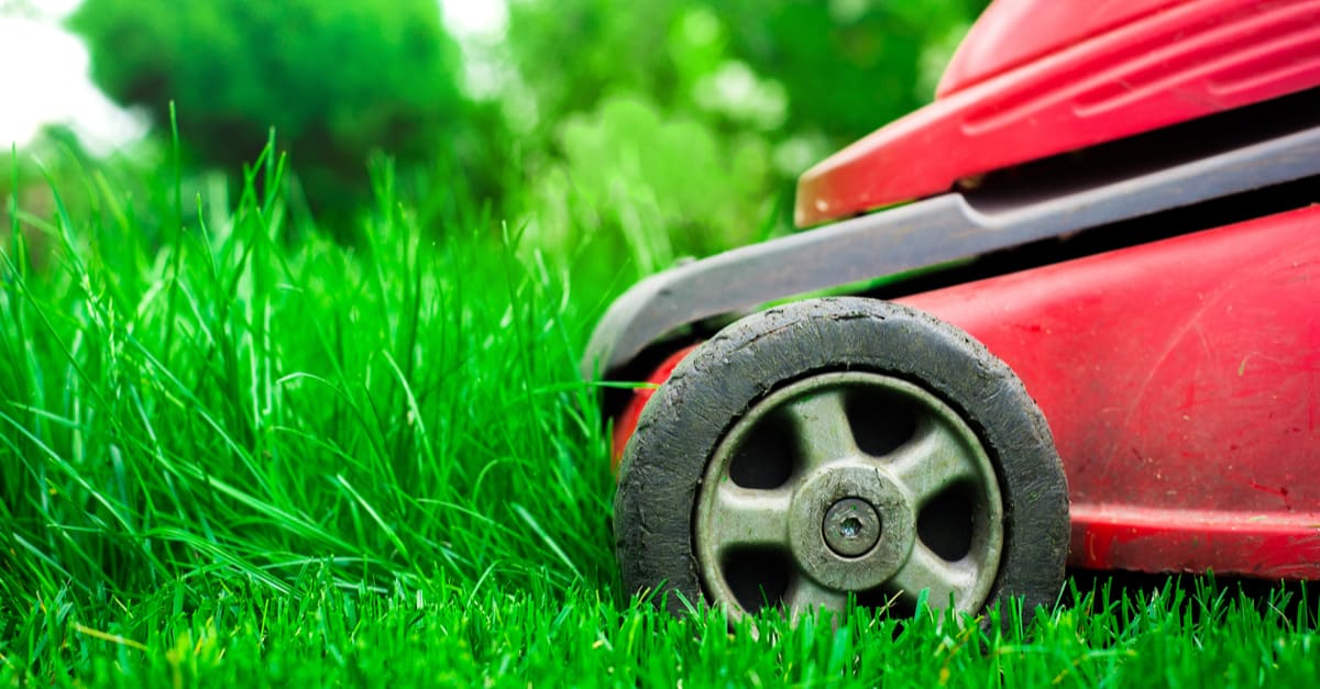 lawn_mower_08 lawn mower