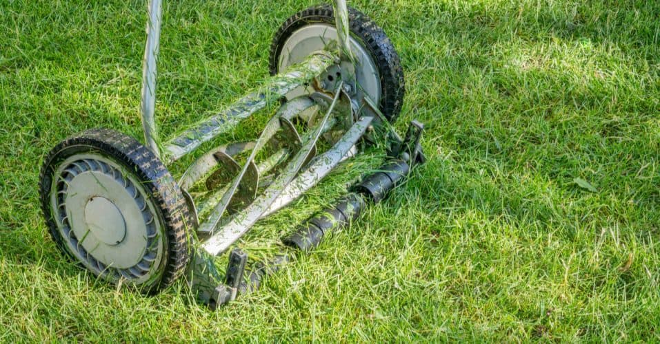 Best Inexpensive Lawn Mower For Small Yard Trim That Weed