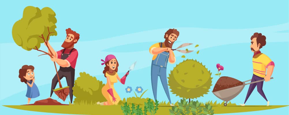 1What Are Weeds, and How To Identify Them