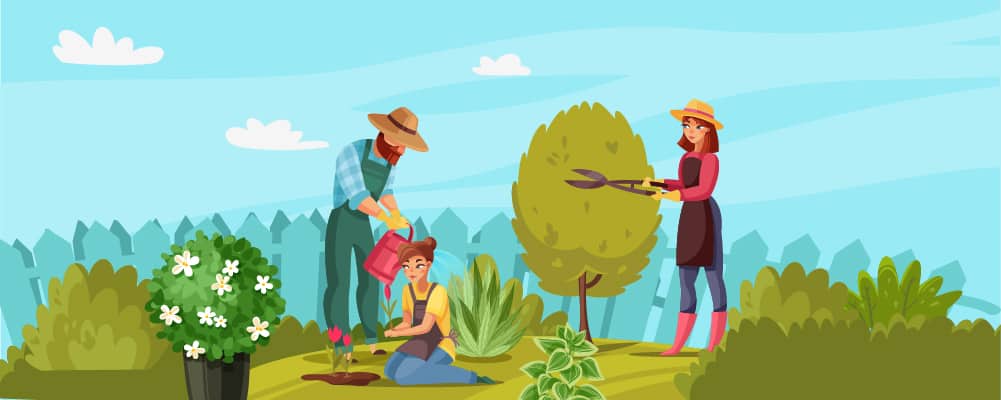 2 When Is The Best Time To Weed Your Garden