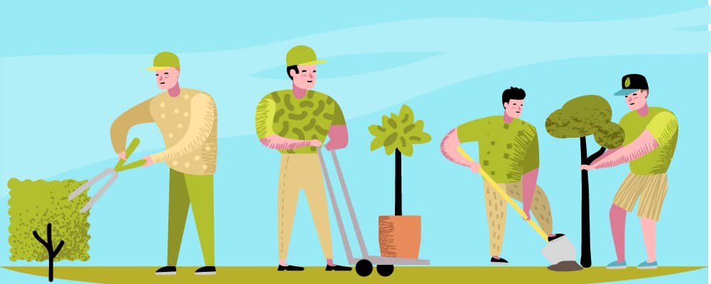 3The Best Tools For Weeding