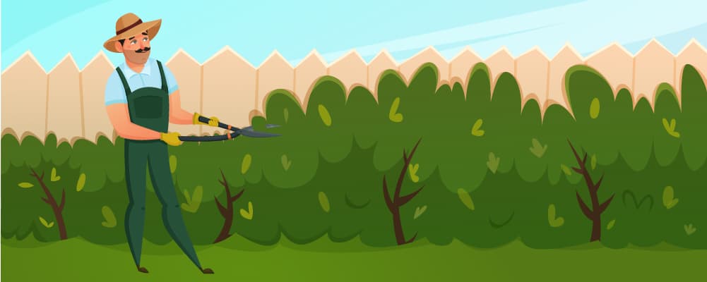 5How To Tackle Annual Weeds