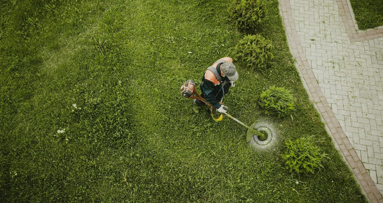 Best Weed Wacker For A Woman