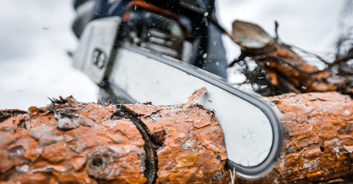 chain_on_chainsaw_03 chain on chainsaw