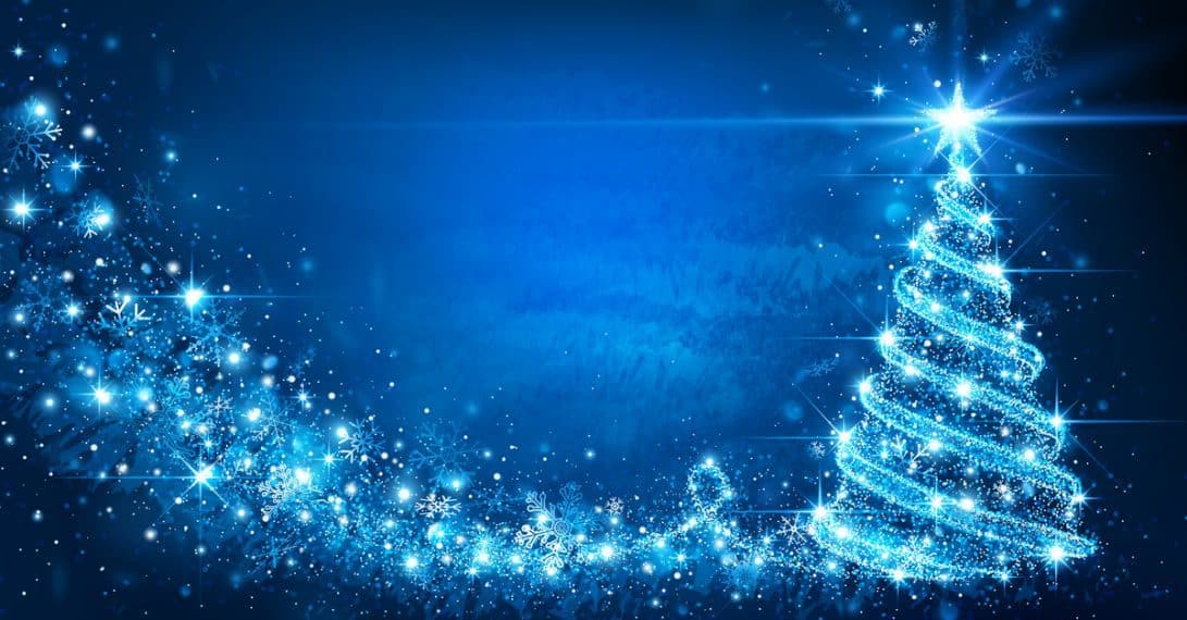 How To Put Christmas Lights On A Large Outdoor Tree Trim That Weed