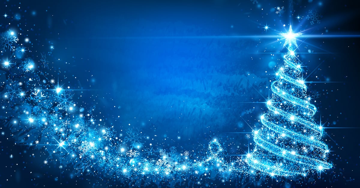 christmas_lights_large_outdoor_tree_01 Christmas lights large outdoor tree