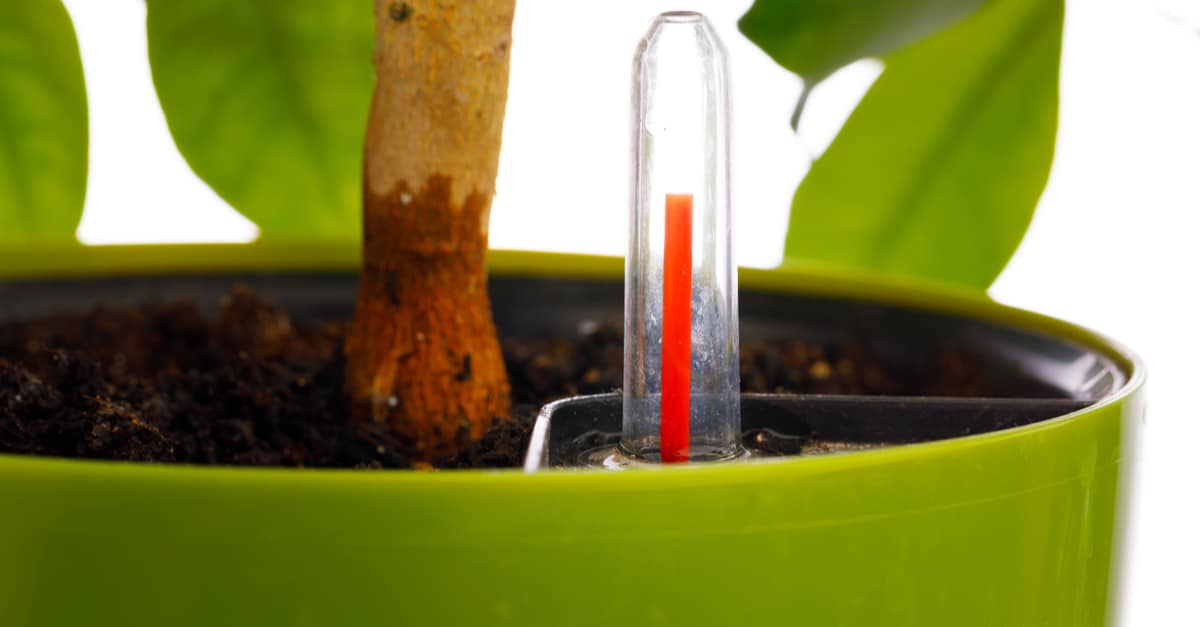 selfwatering_planter_02 self watering planter