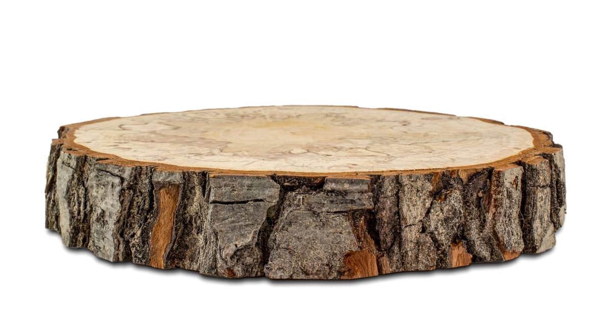 wood_slices_with_chainsaw_01 wood slices with chainsaw