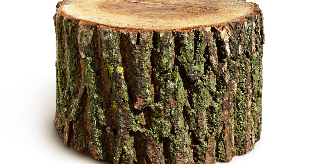 wood_slices_with_chainsaw_03 wood slices with chainsaw