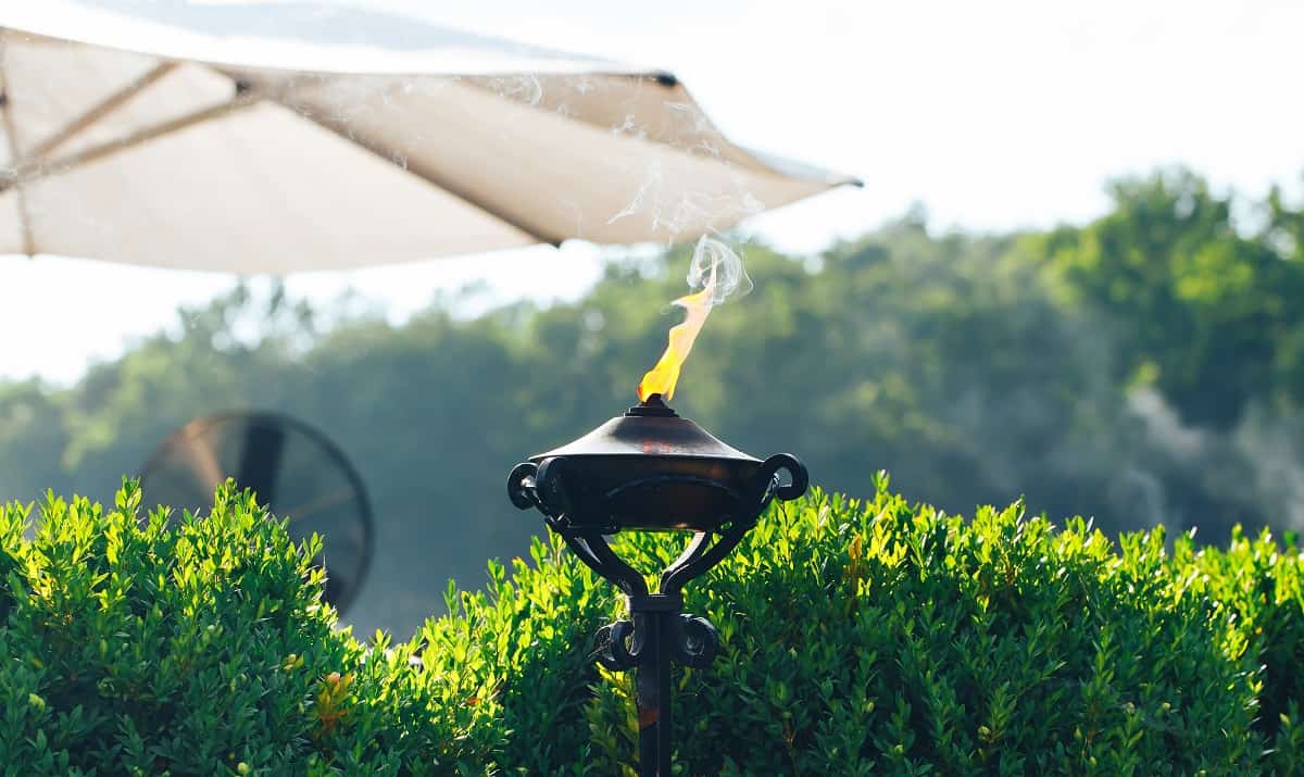 Best Patio Torches