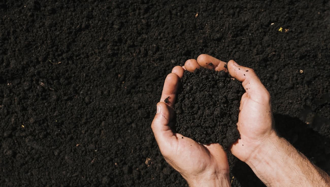 How To Plan For Garden Soil Delivery