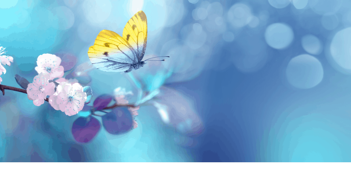 blue_spring_flower_01 blue spring flower