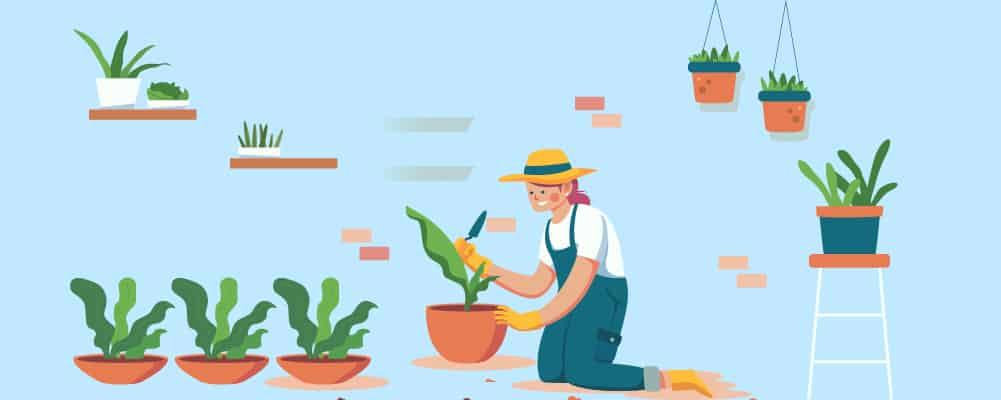 3.How to Bring Gardening into Your Home