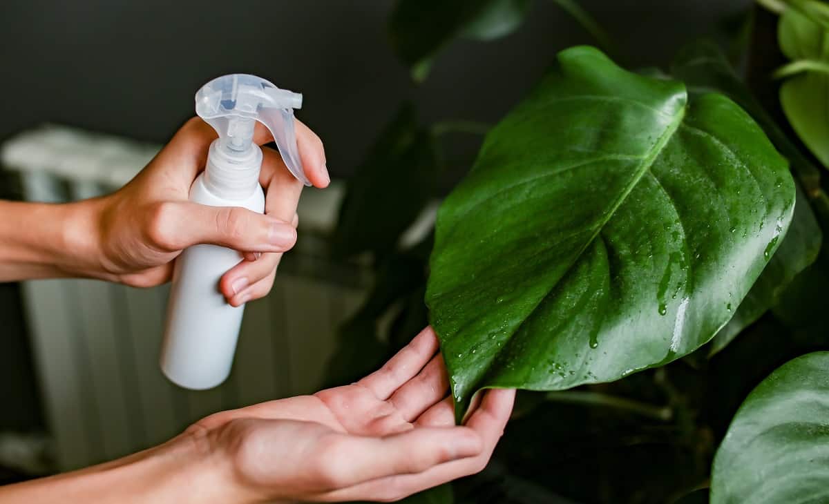 How To Increase Humidity In Grow Tent