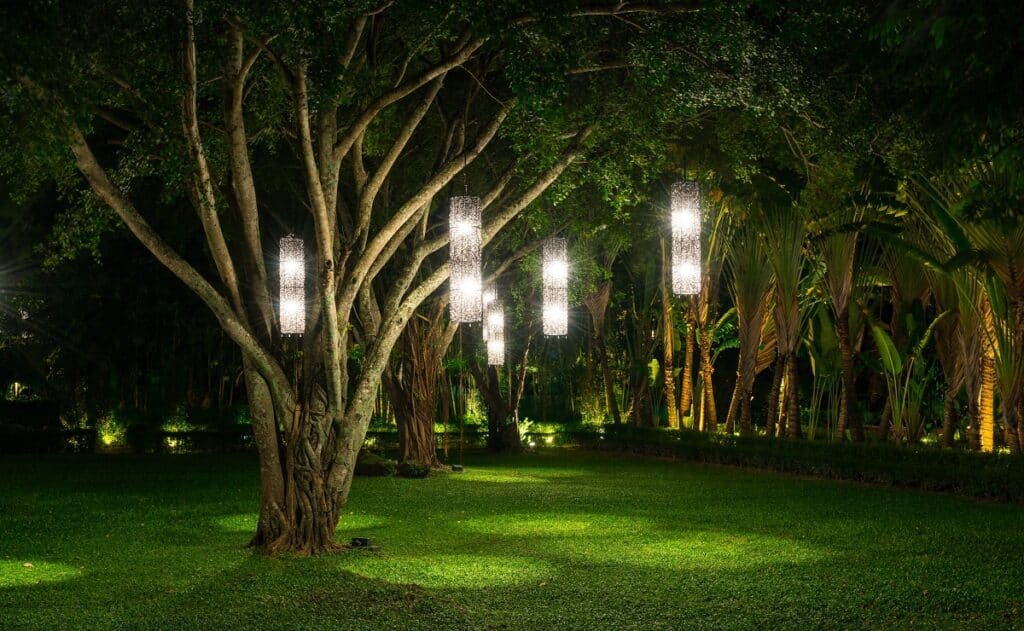 How To Put Lights On A Tree Outdoors