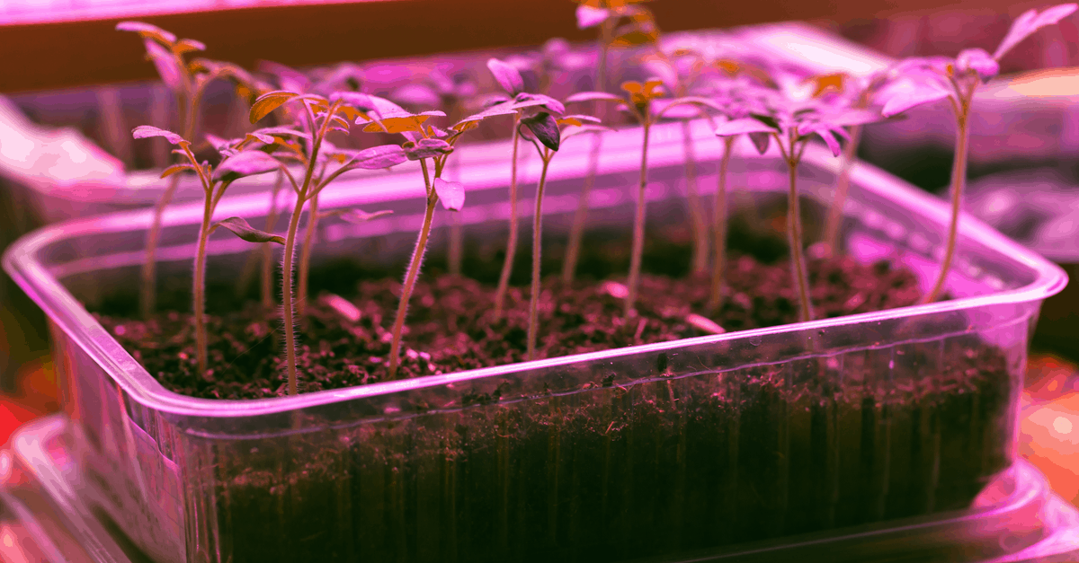 How To Build An Indoor Grow Box