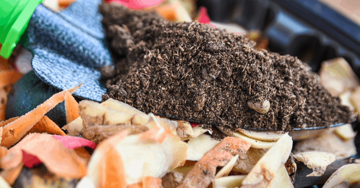 scrap_gardening_01 scrap gardening