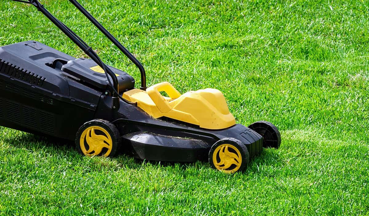 what-is-a-brushless-lawn-mower