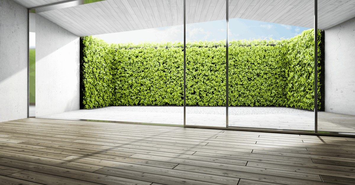 backyard_privacy_03 living wall