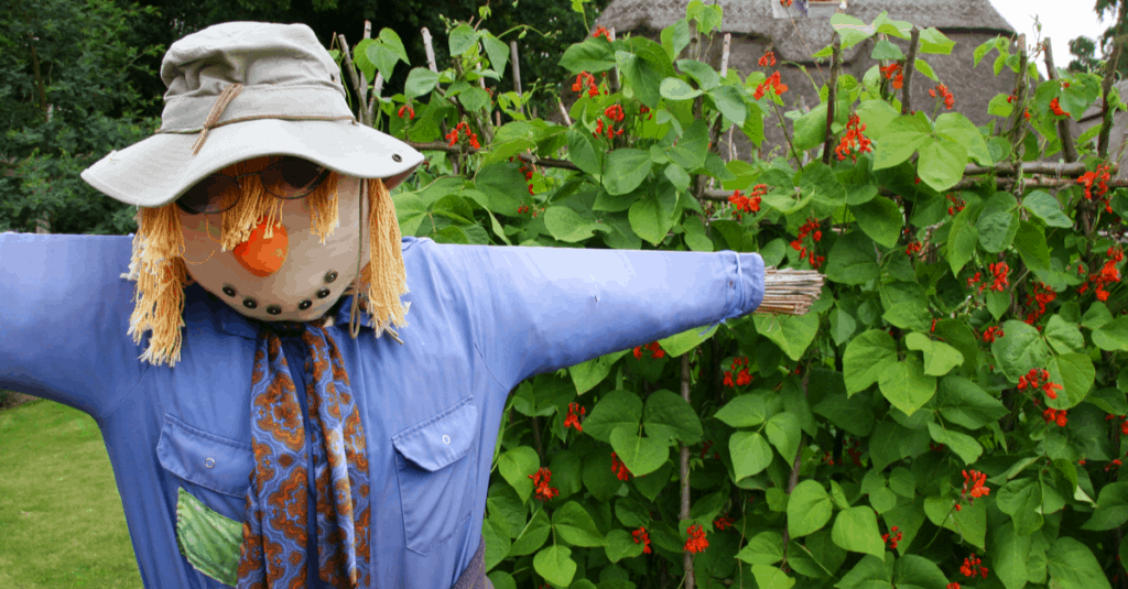 How To Keep Birds Out Of Garden