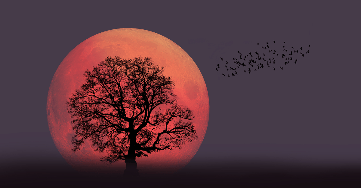 moon_cylces_06 super moon