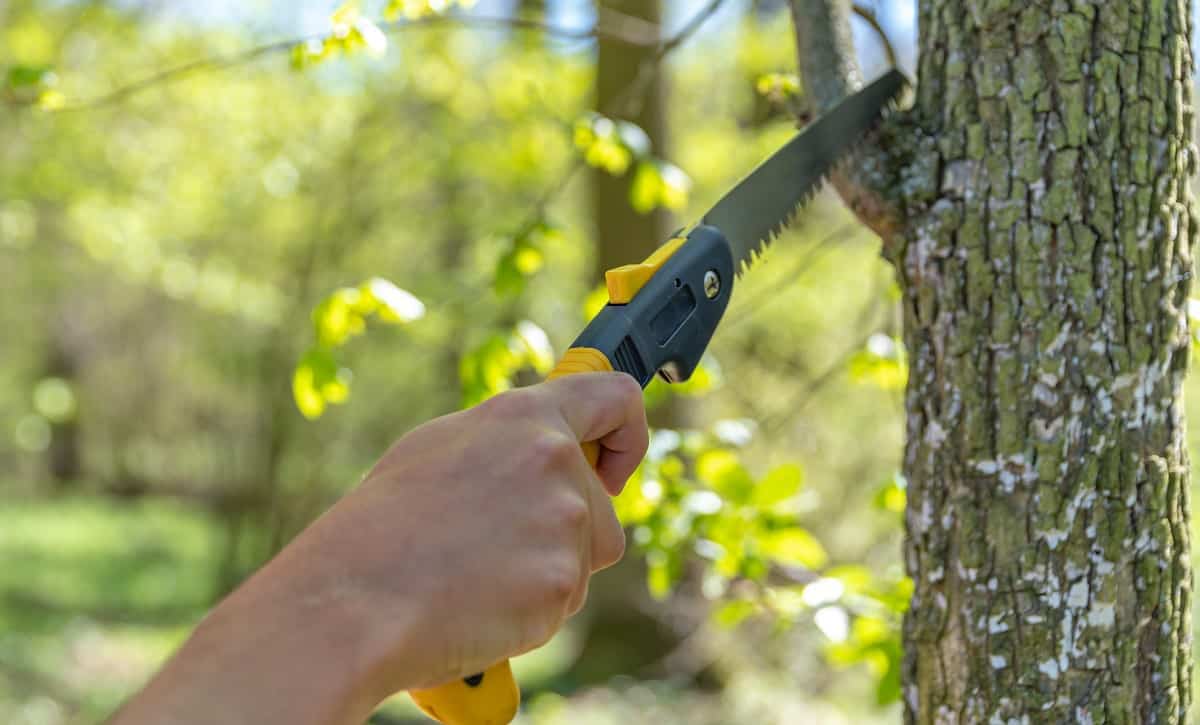 How To Attach Saw Blade To Tree Pruner