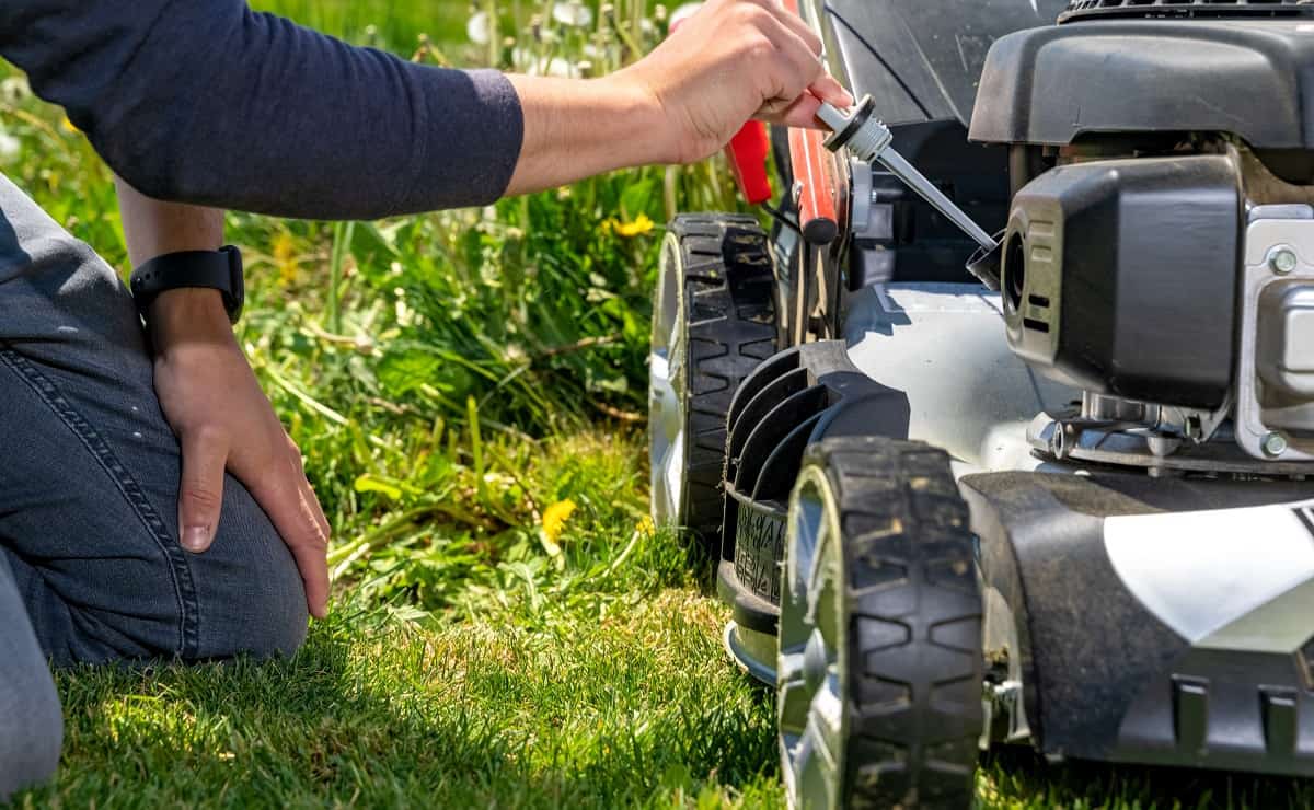 What Spark Plug To Use For Lawn Mower?