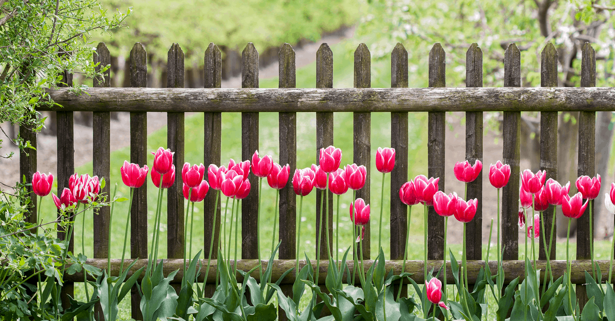 build_garden_fence build garden fence