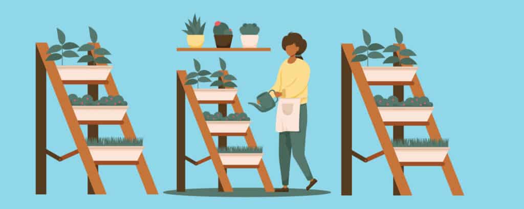 woman Taking care of her vegetable garden