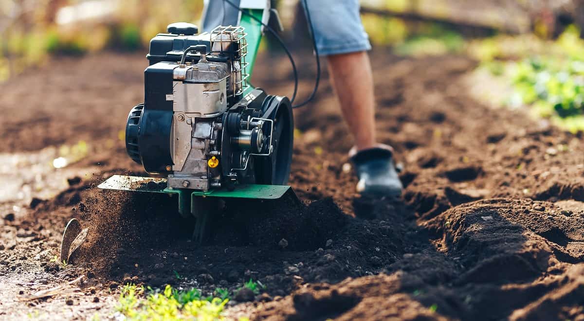 Sun Joe Tiller Review