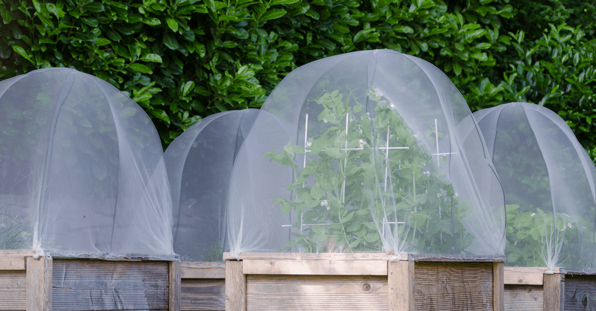 june_garden_02 garden covers