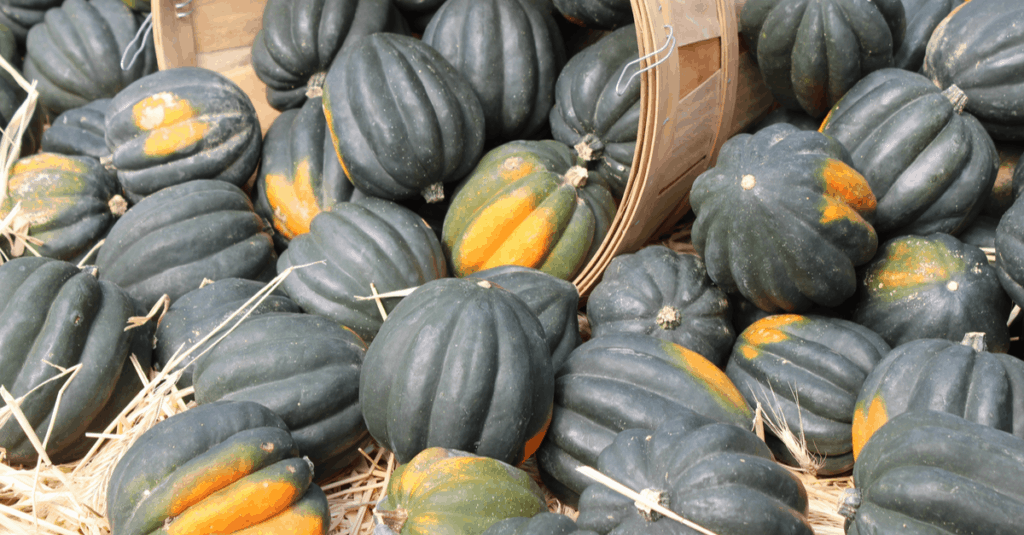 Acorn Squash How to Plant, Grow, and Harvest Trim That Weed