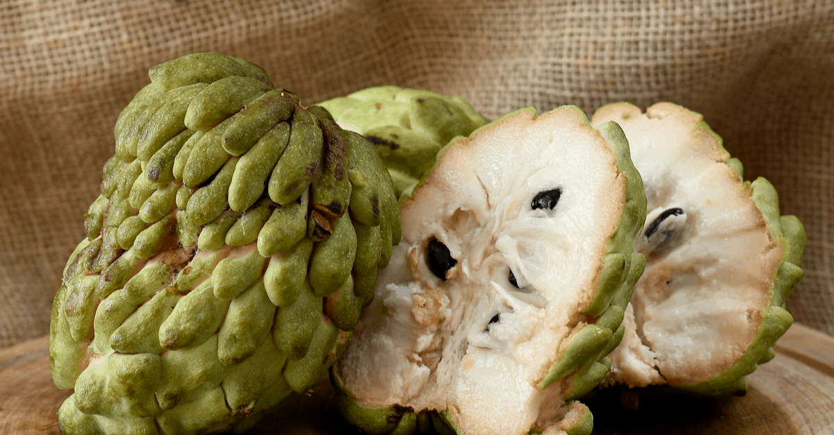 atemoya_04 atemoya fruit uses