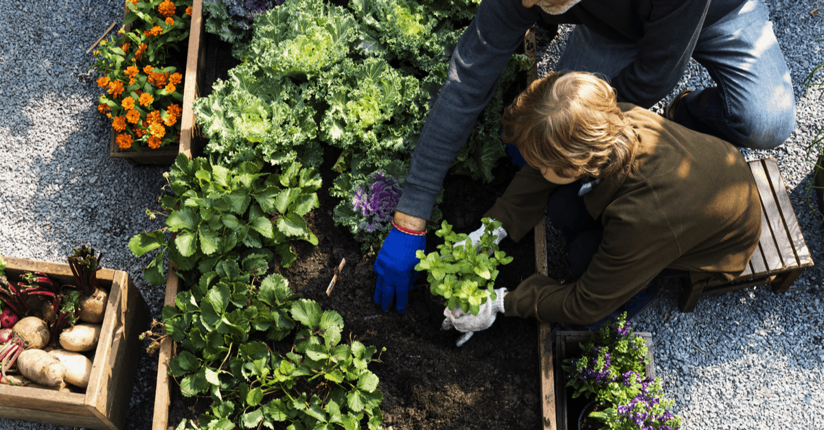 garden_more_productive_02 family working backyard garden
