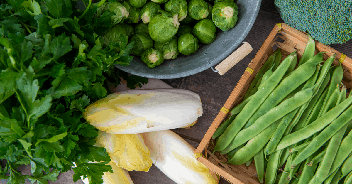 belgian_endive_04 belgian endive uses