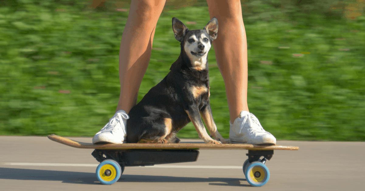 skateboard_type_03 electric skateboard