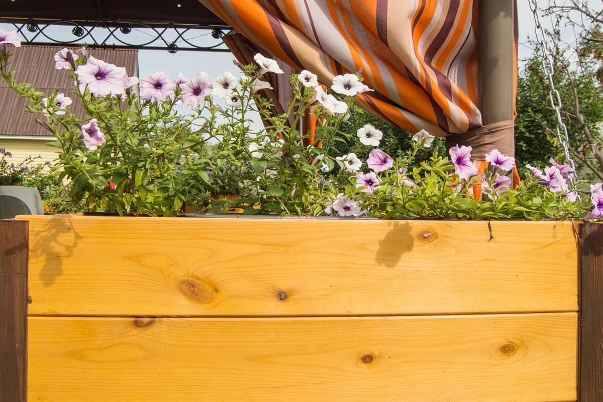 Best Cedar Planter Box