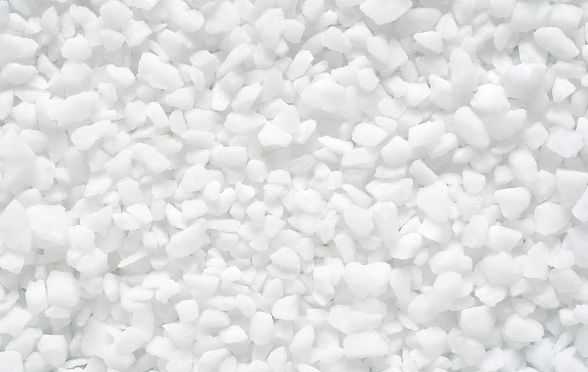 Will Water Softener Salt Kill Trees