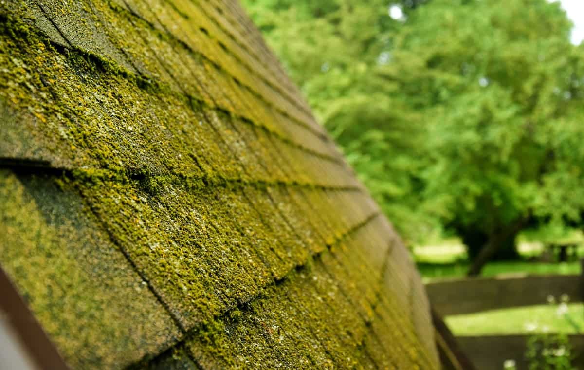 How To Apply Moss Out Granules On Roof
