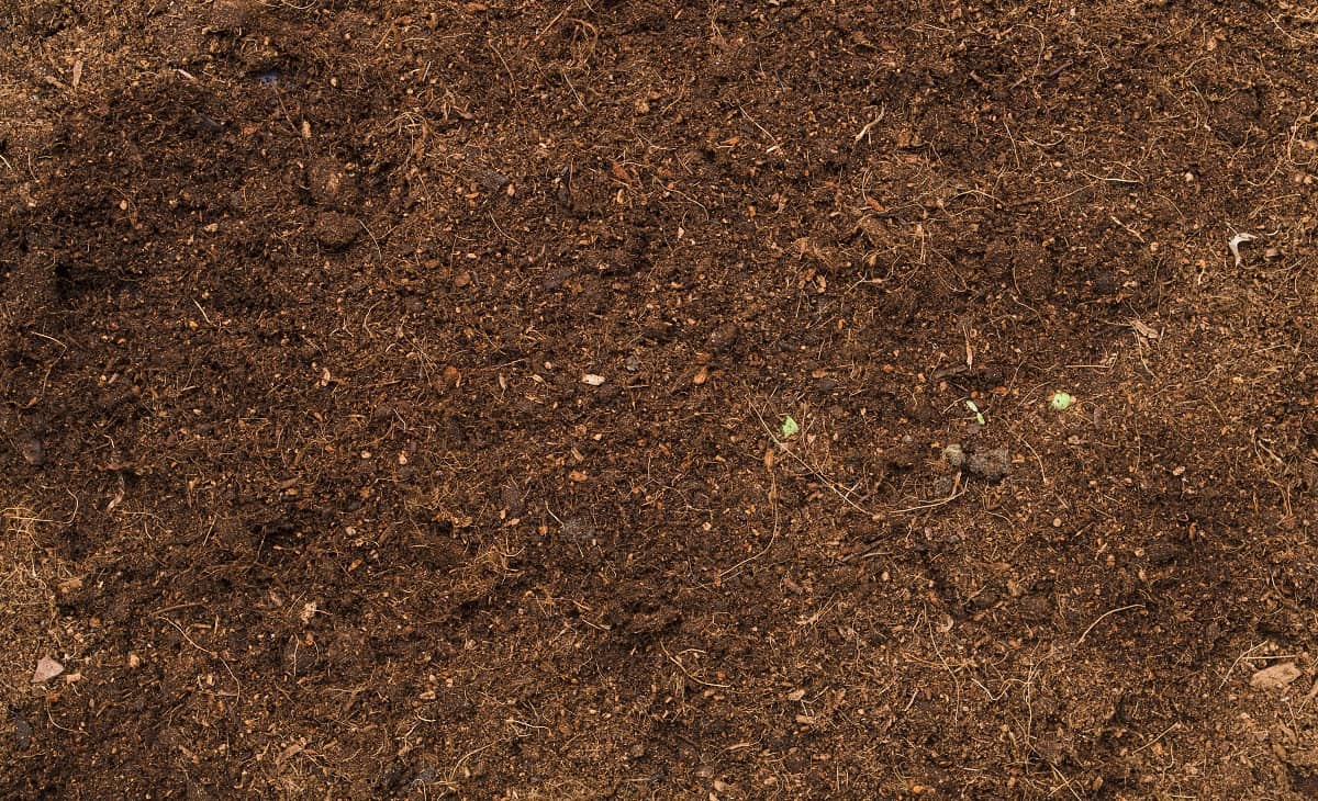 How Many Bags Of Mulch Make A Yard