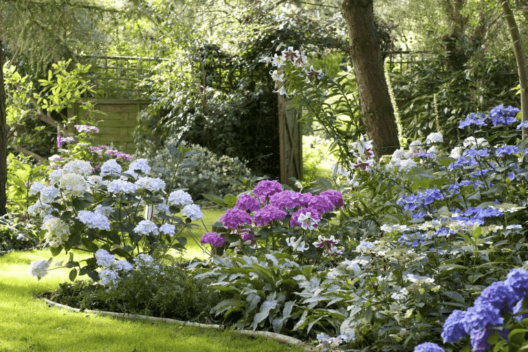 10 best shrubs to plant in spring Trim That Weed