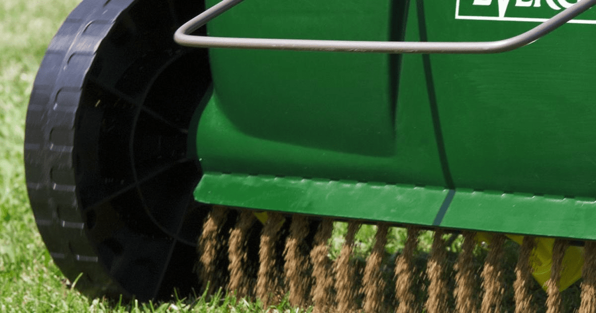 Best Commercial Lawn Fertilizer Spreader For Work or Home Trim That Weed