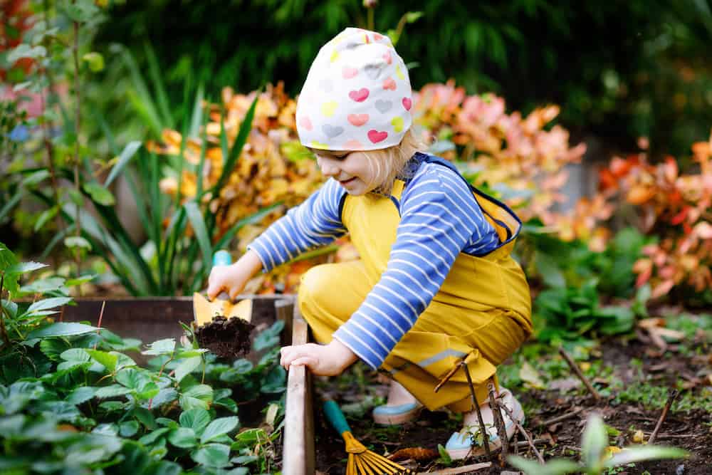 Adorable little toddler girl working with shovel in domestic garden. Cute child learn gardening, planting and cultivating vegetables in domestic garden. Kid with garden tools. Ecology, organic food. what vegetables grow in 60 days at home