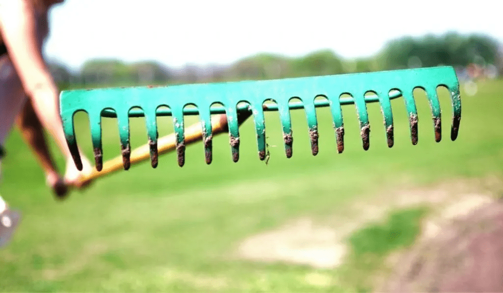 Best Rakes for Dead Grass Trim That Weed