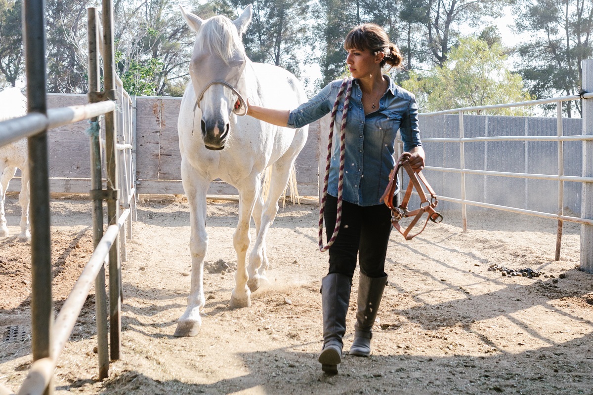 Best Boots for Working With Horses