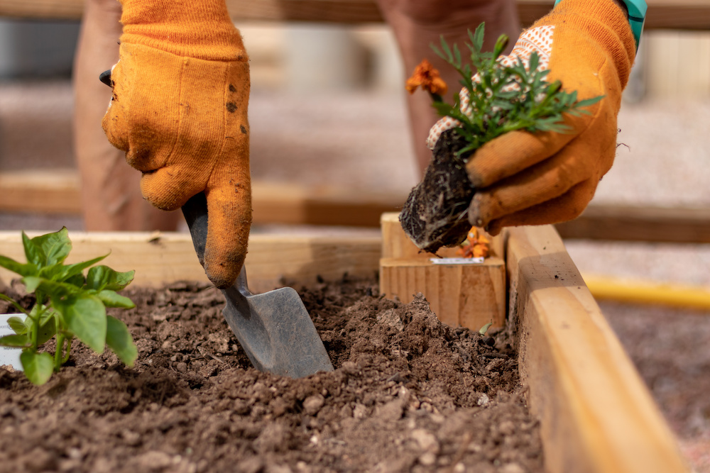 planting a vegetable garden in a raised bed in spring best time to start a garden in spring